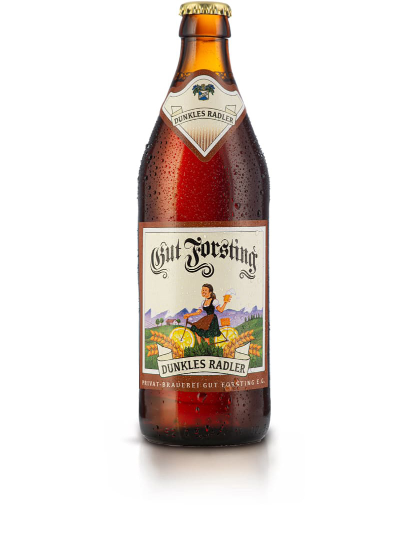 Forstinger Dunkler Radler